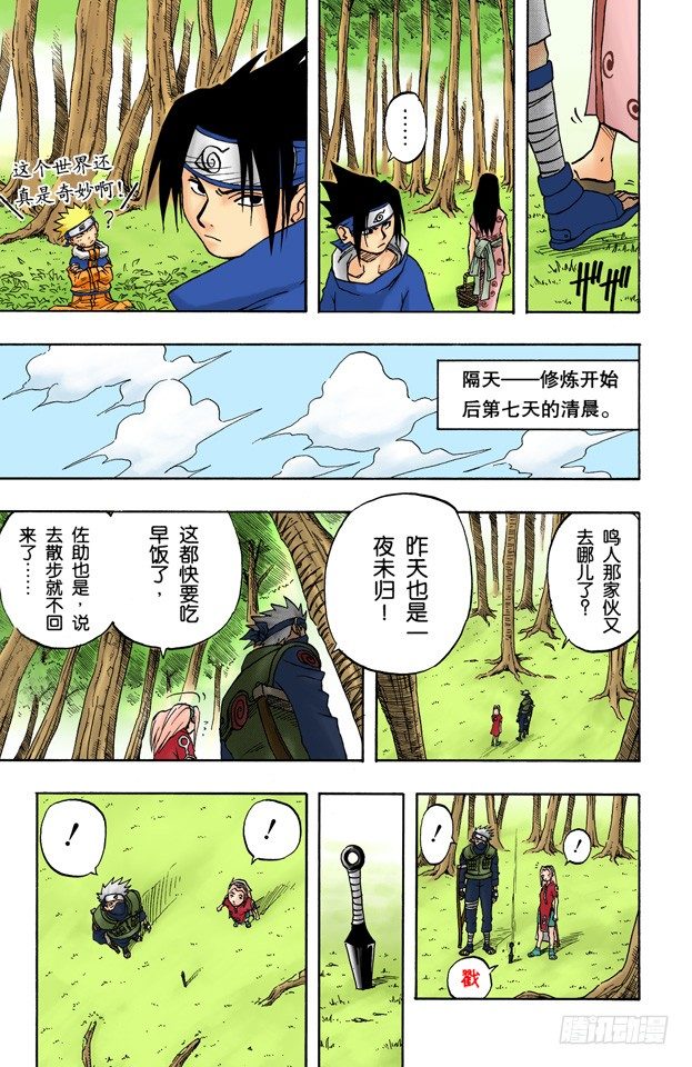第 13 页