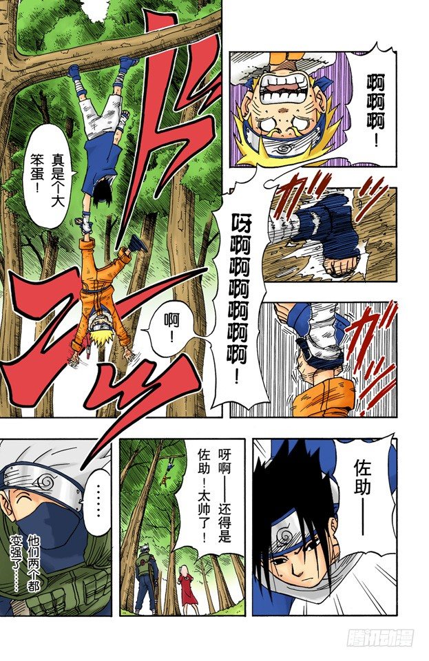 第 17 页