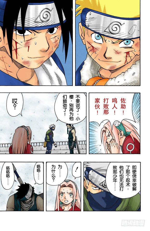 第 17 页