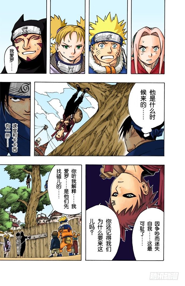 第 13 页