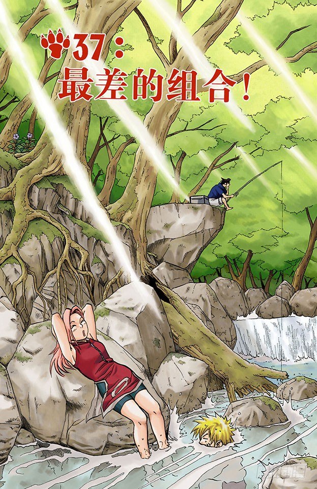 第 4 页