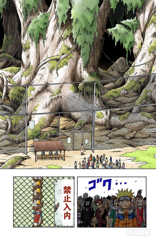 第 18 页