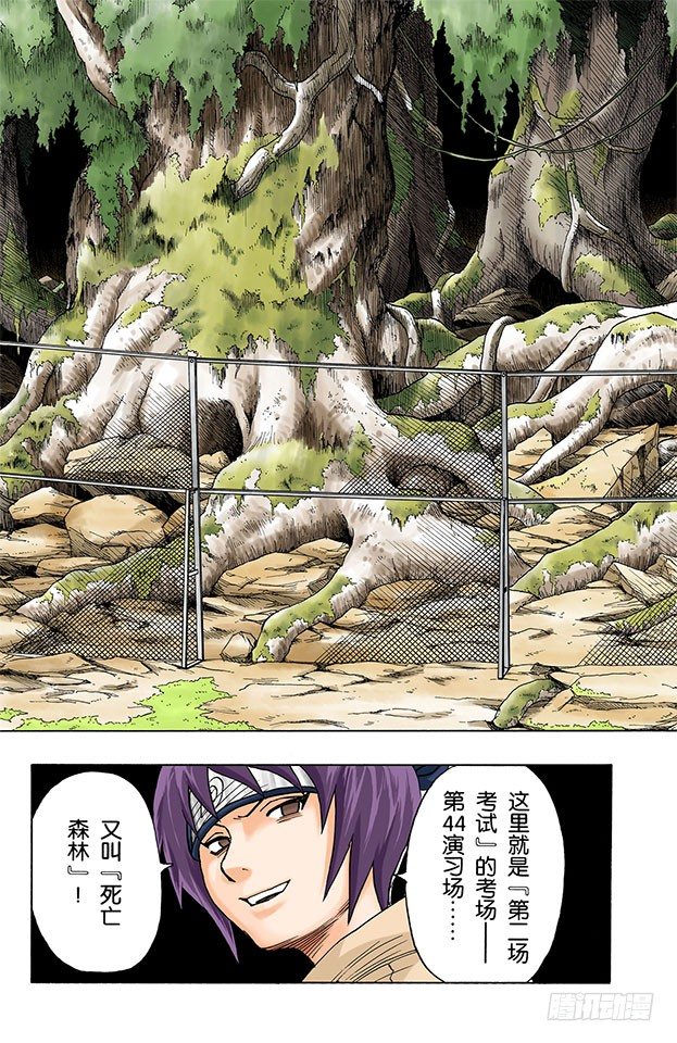 第 19 页