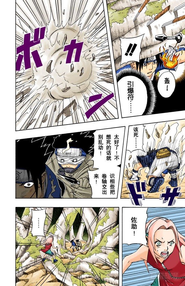 第 11 页