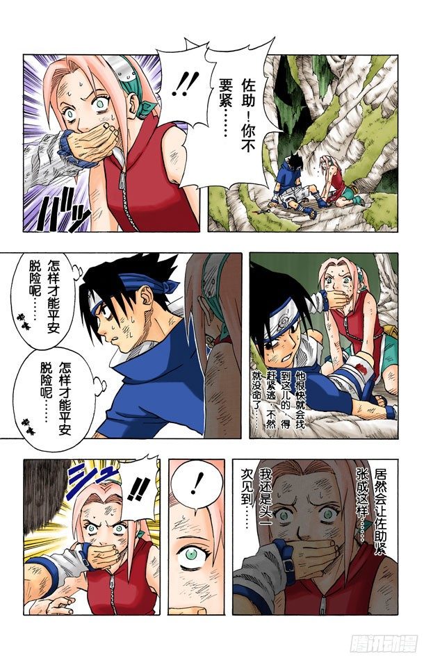 第 15 页