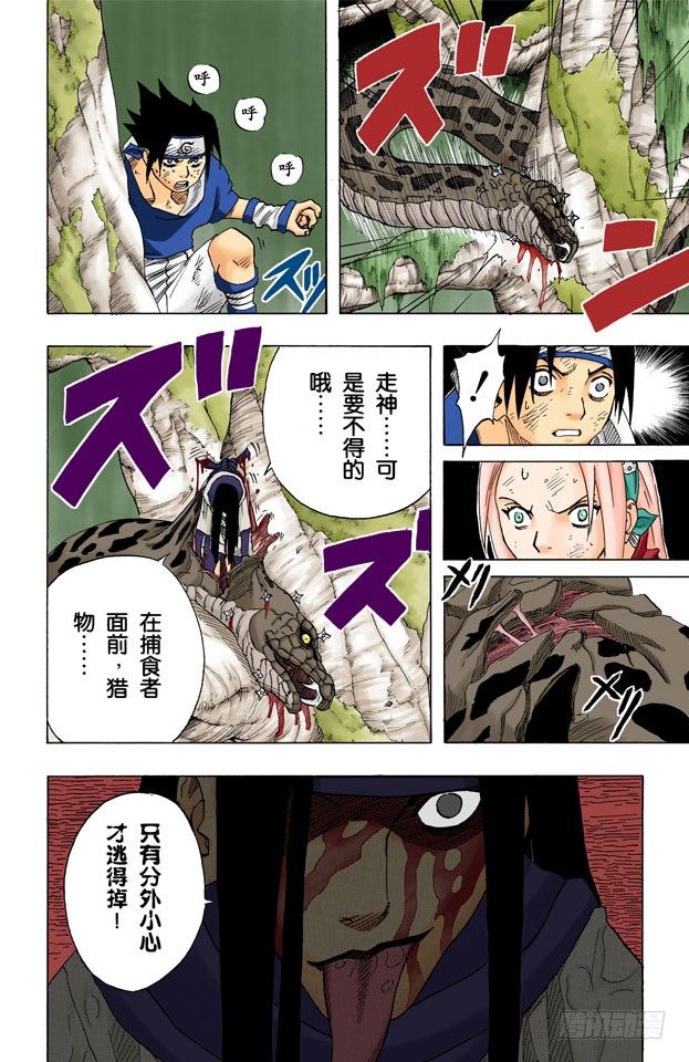 第 18 页