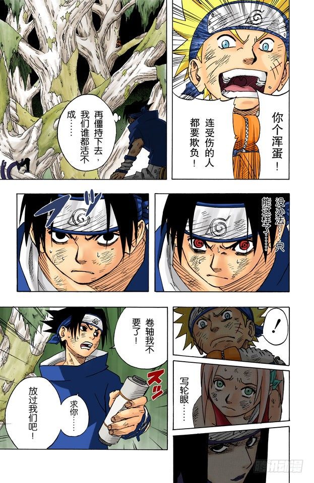 第 5 页
