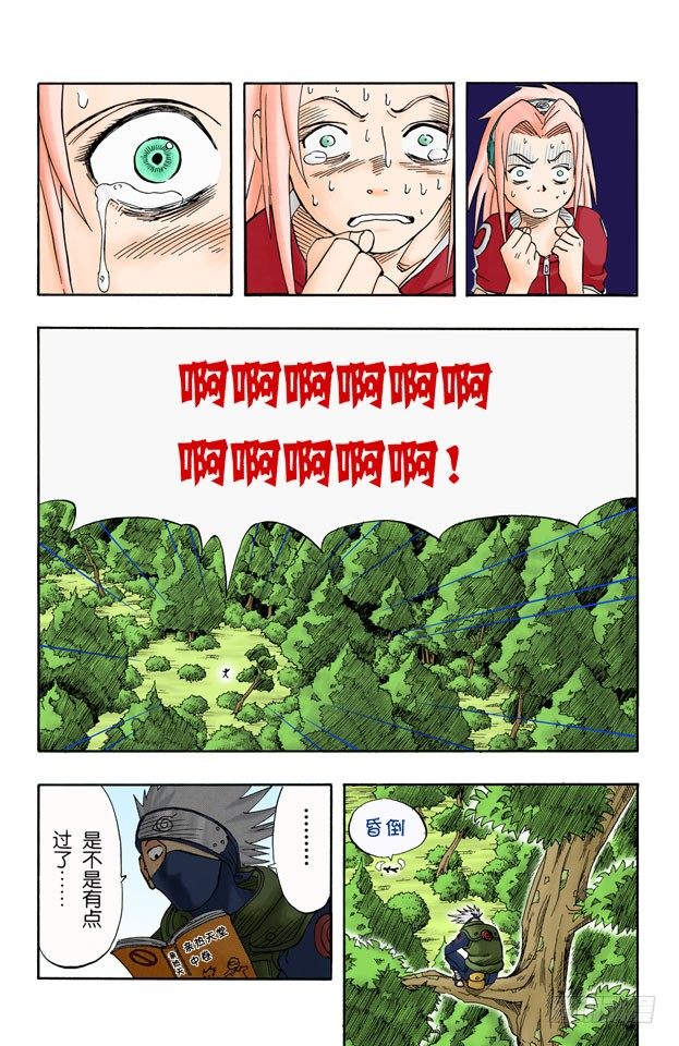 第 17 页