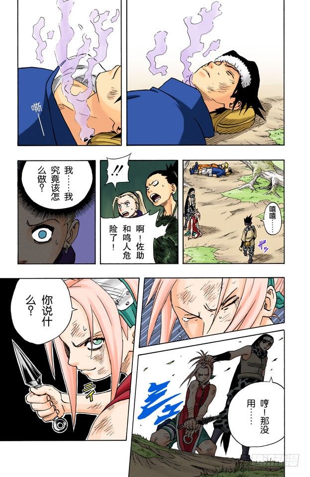 第 17 页