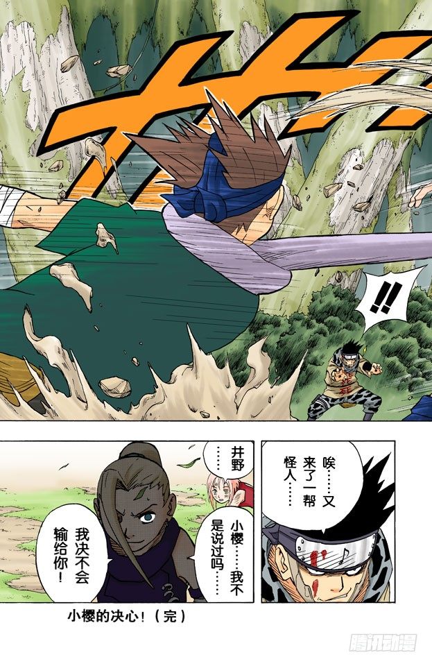第 17 页