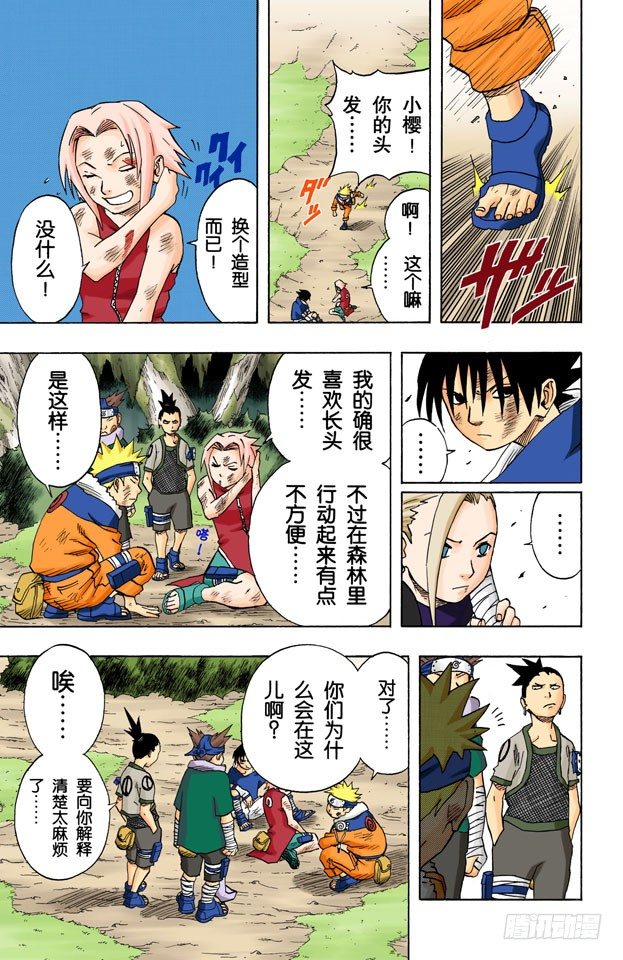 第 5 页