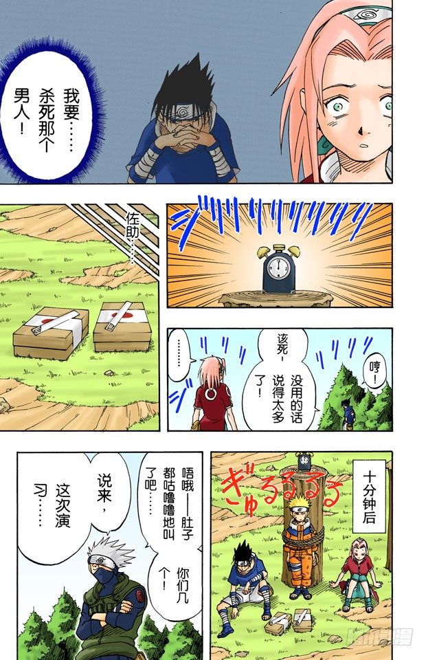 第 17 页