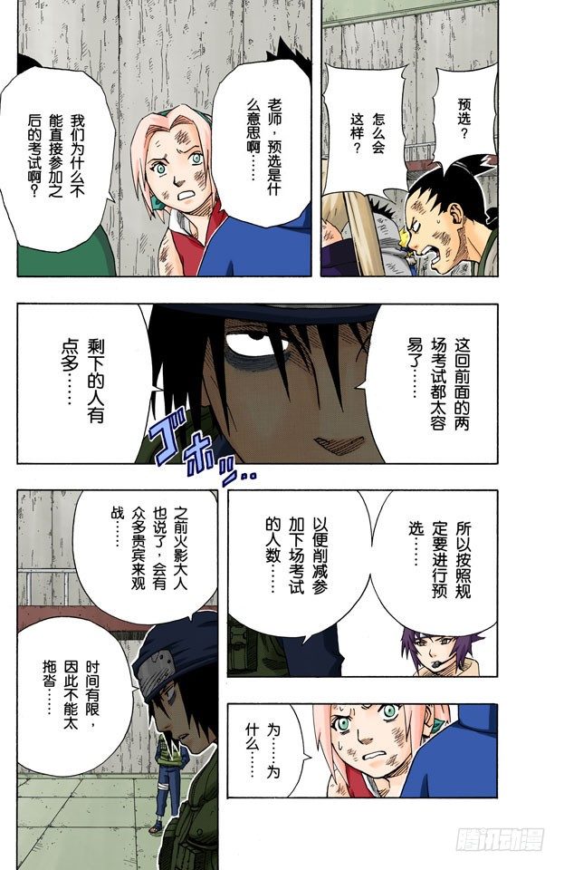第 17 页