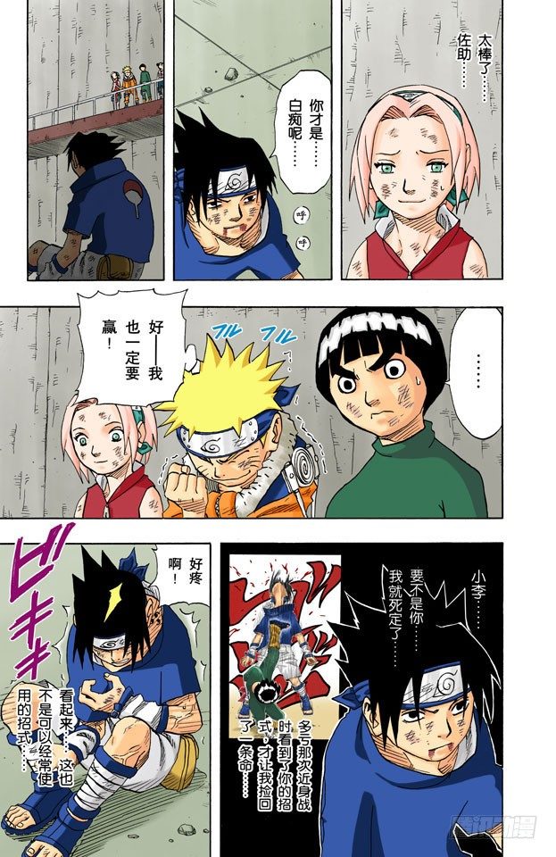 第 13 页