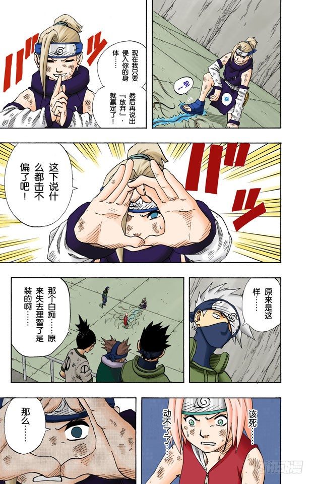 第 17 页
