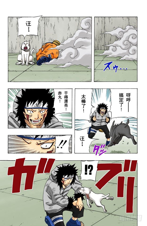 第 17 页