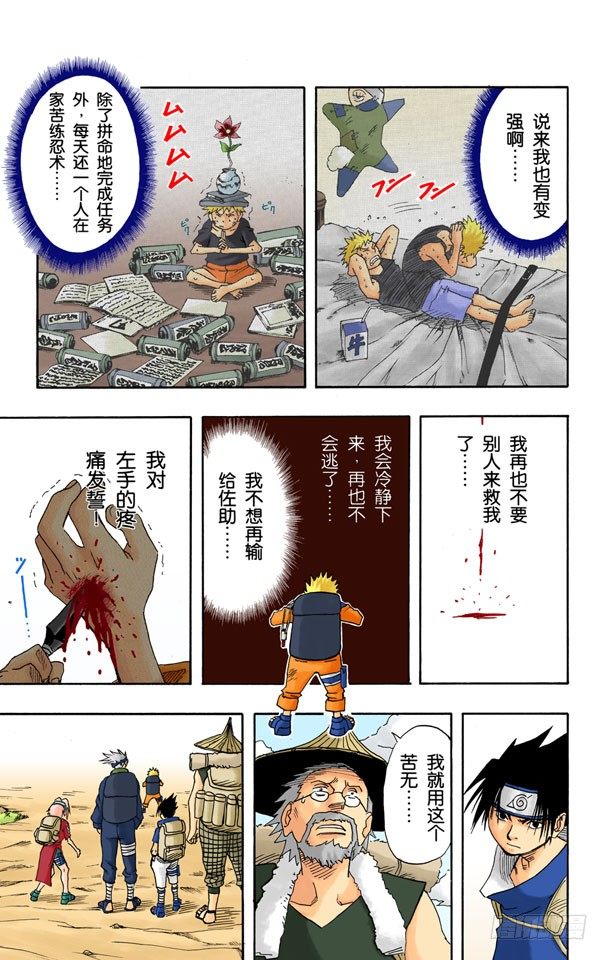 第 17 页