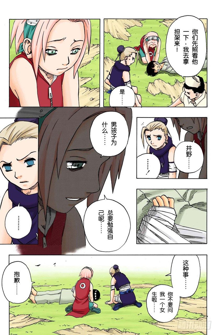 第 17 页