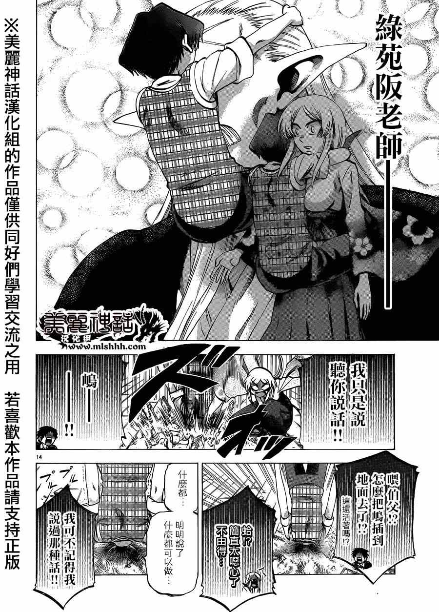 第 14 页