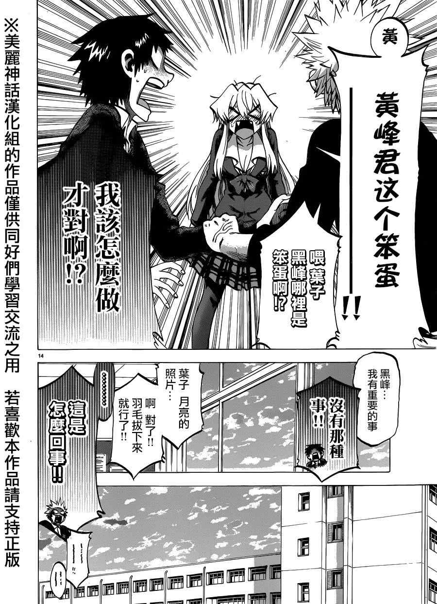 第 14 页