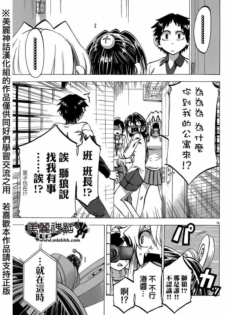 第 13 页