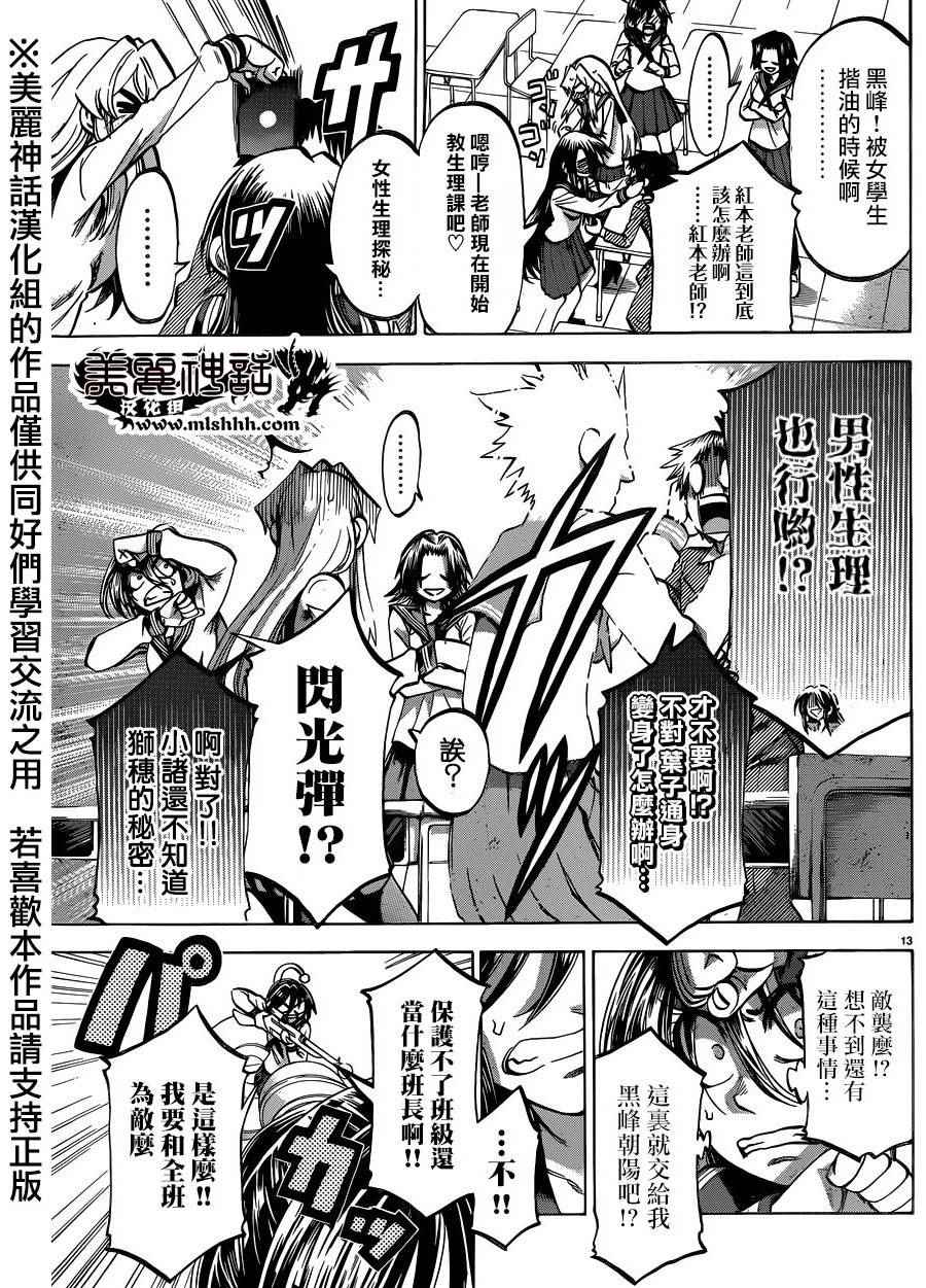 第 13 页