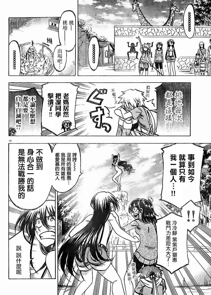 第 14 页