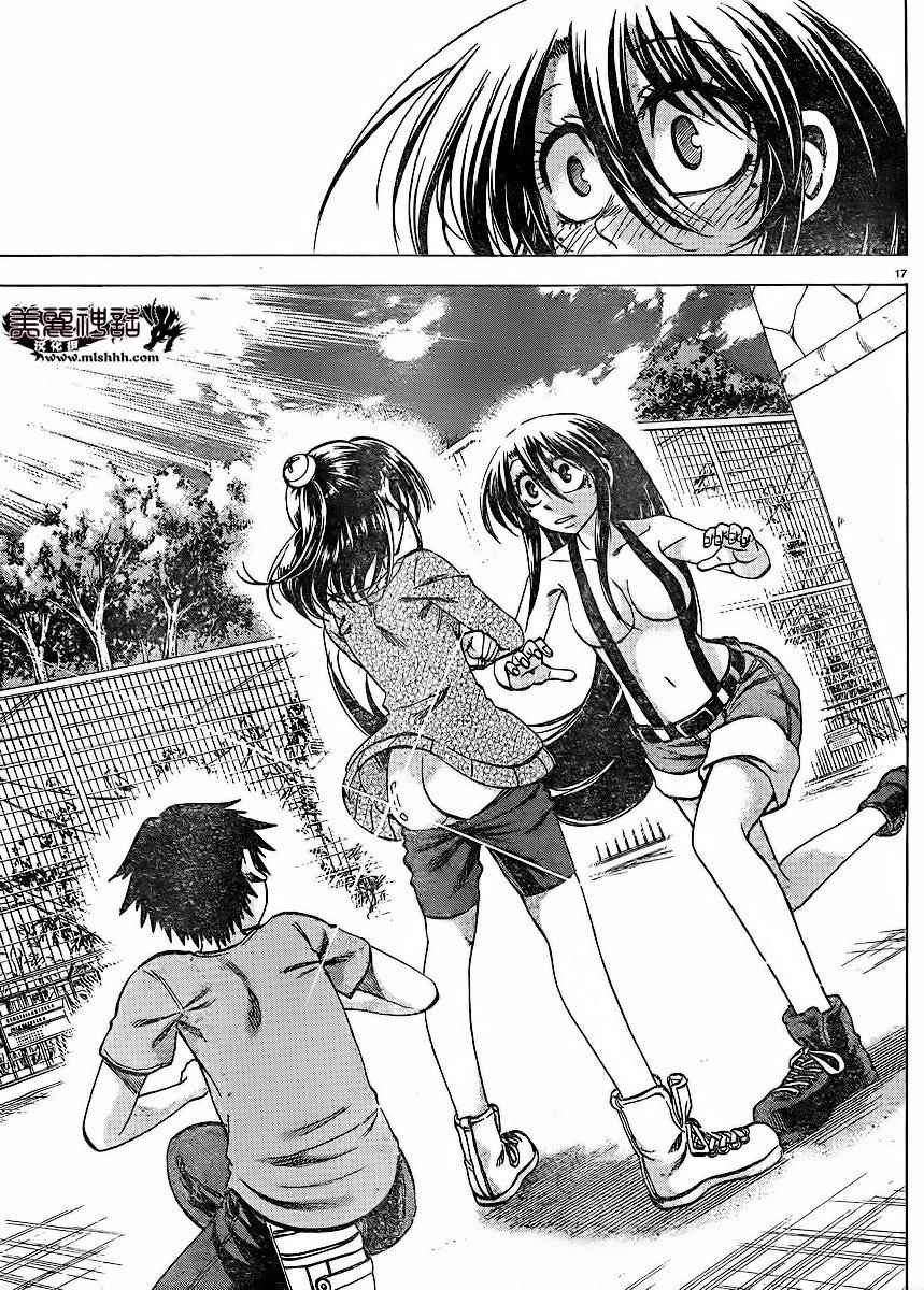 第 17 页