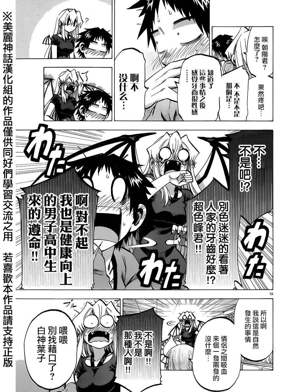 第 13 页