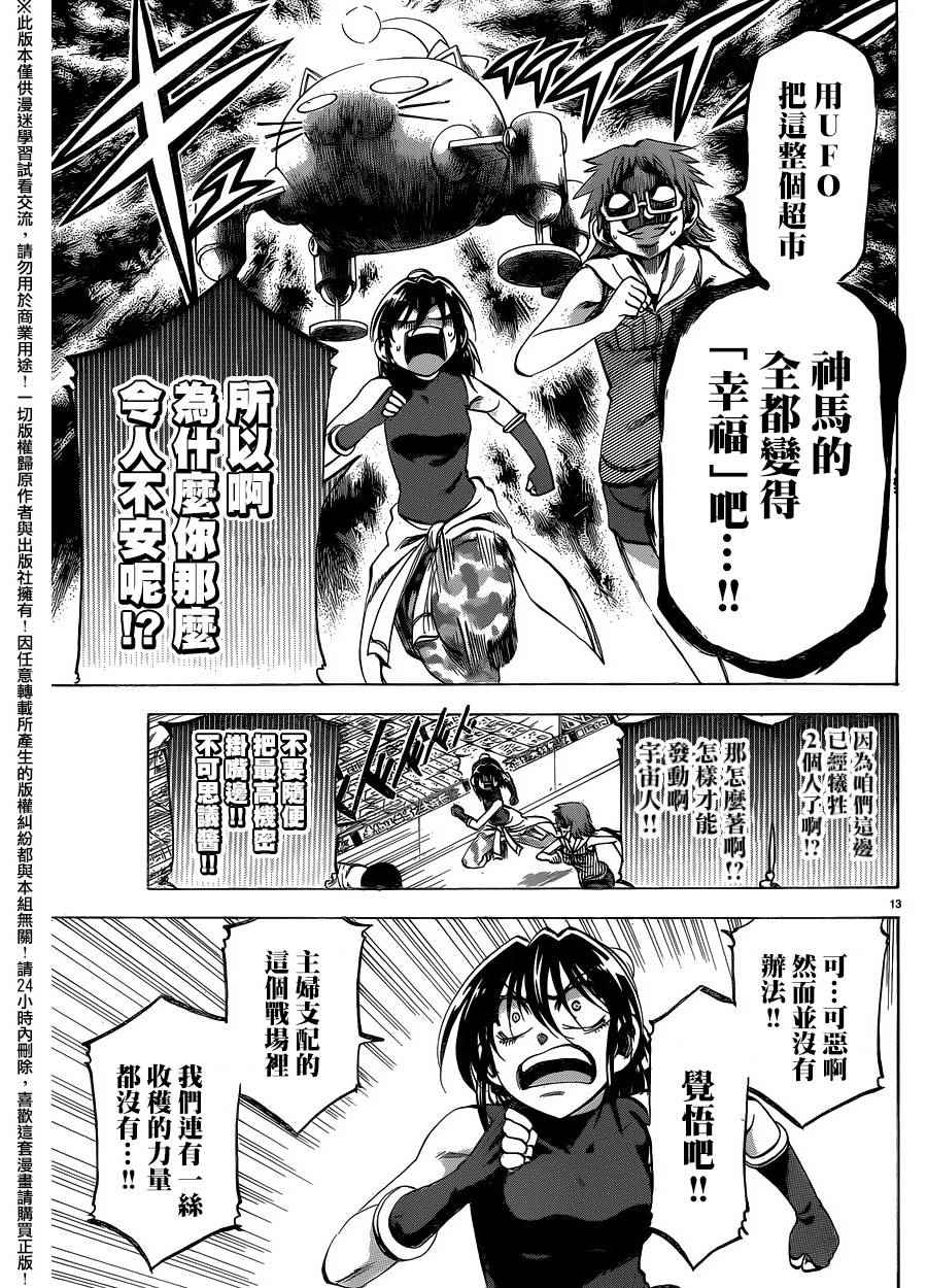 第 13 页