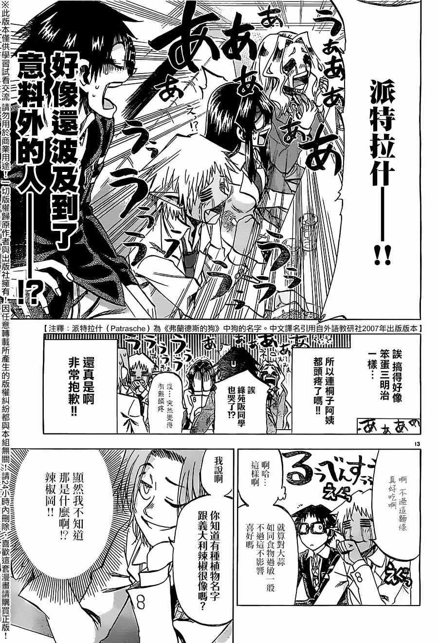 第 13 页
