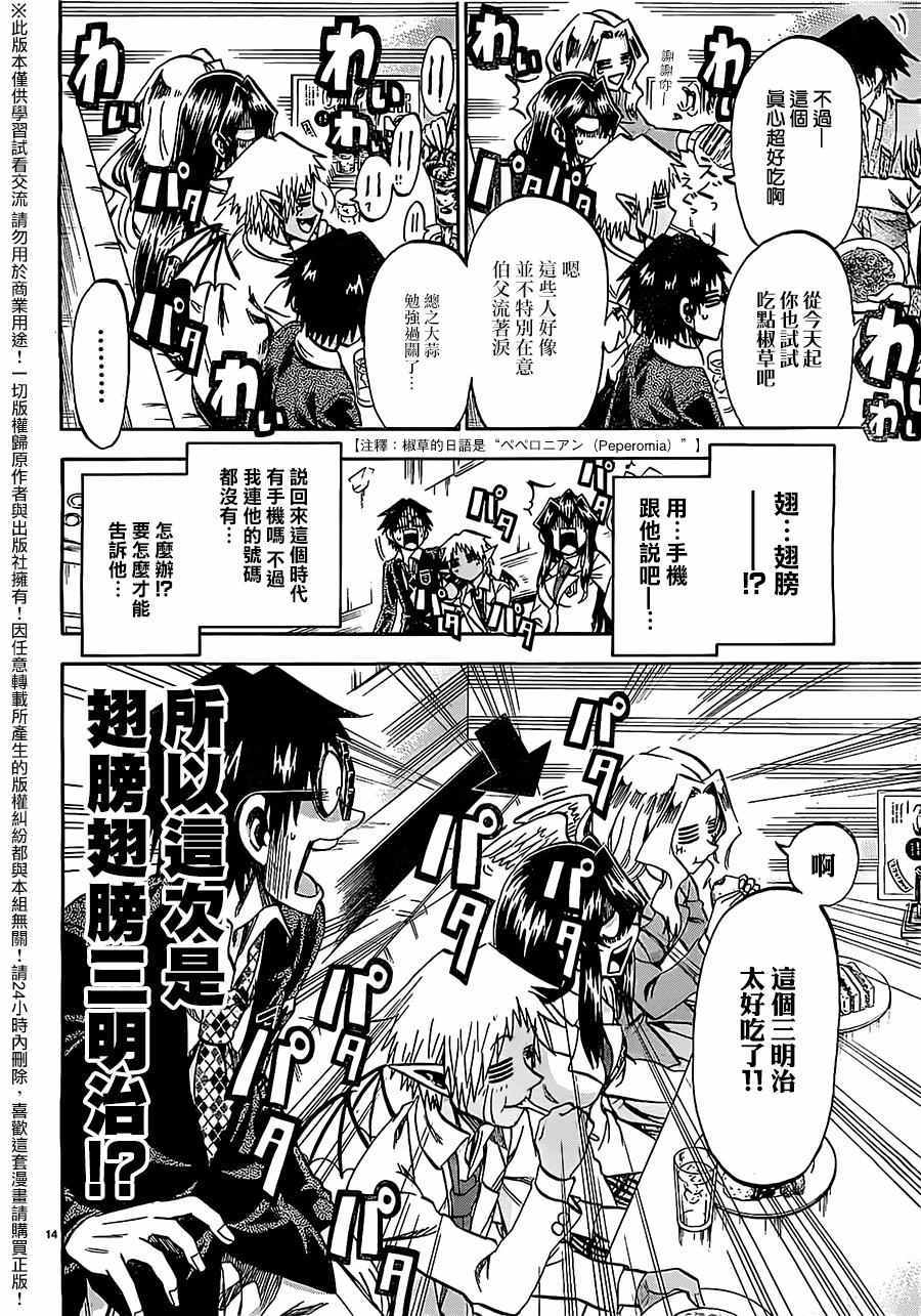 第 14 页