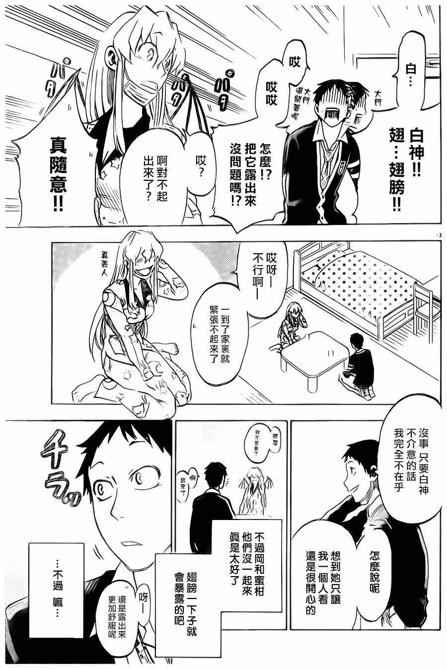 第 13 页
