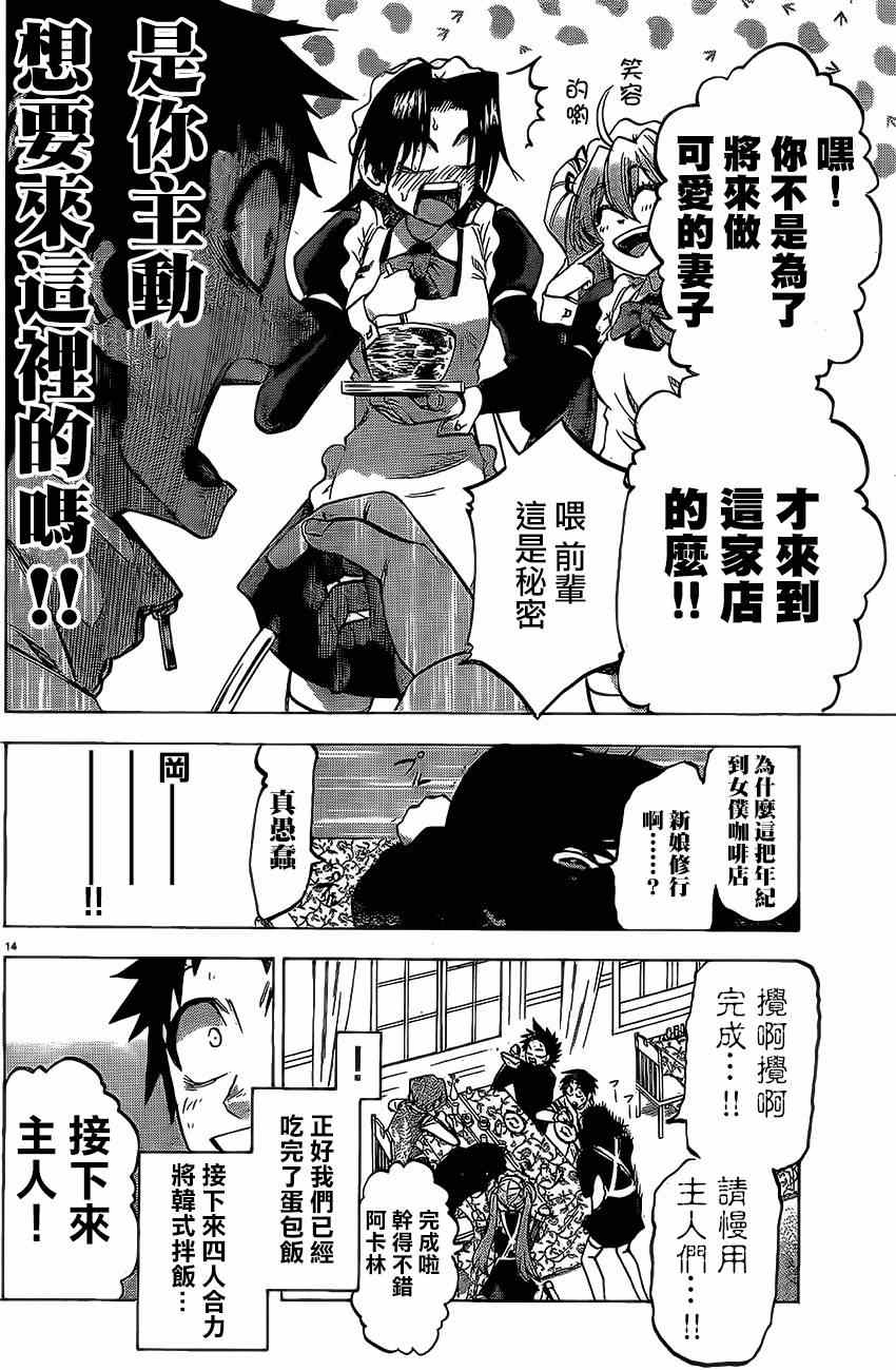 第 13 页