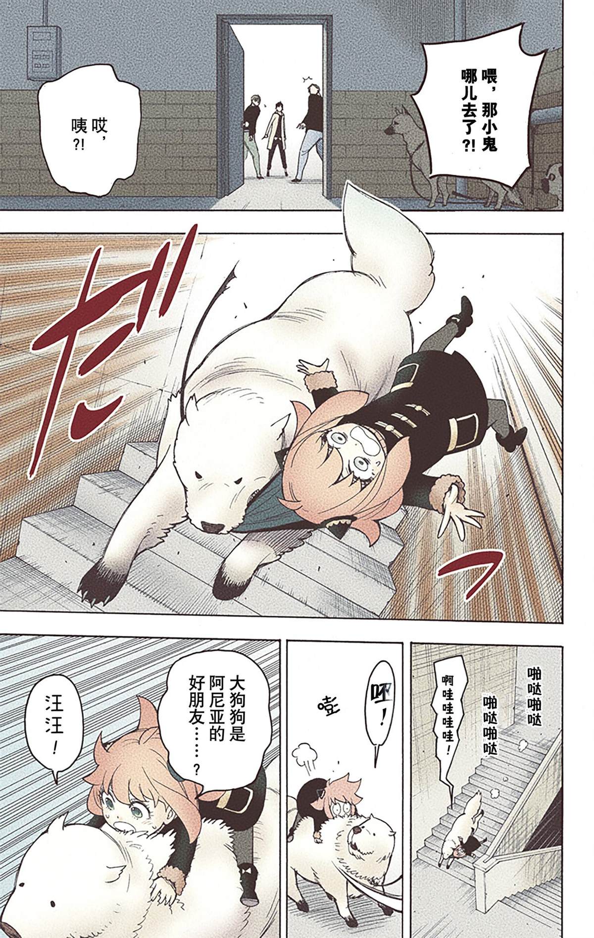 第 47 页