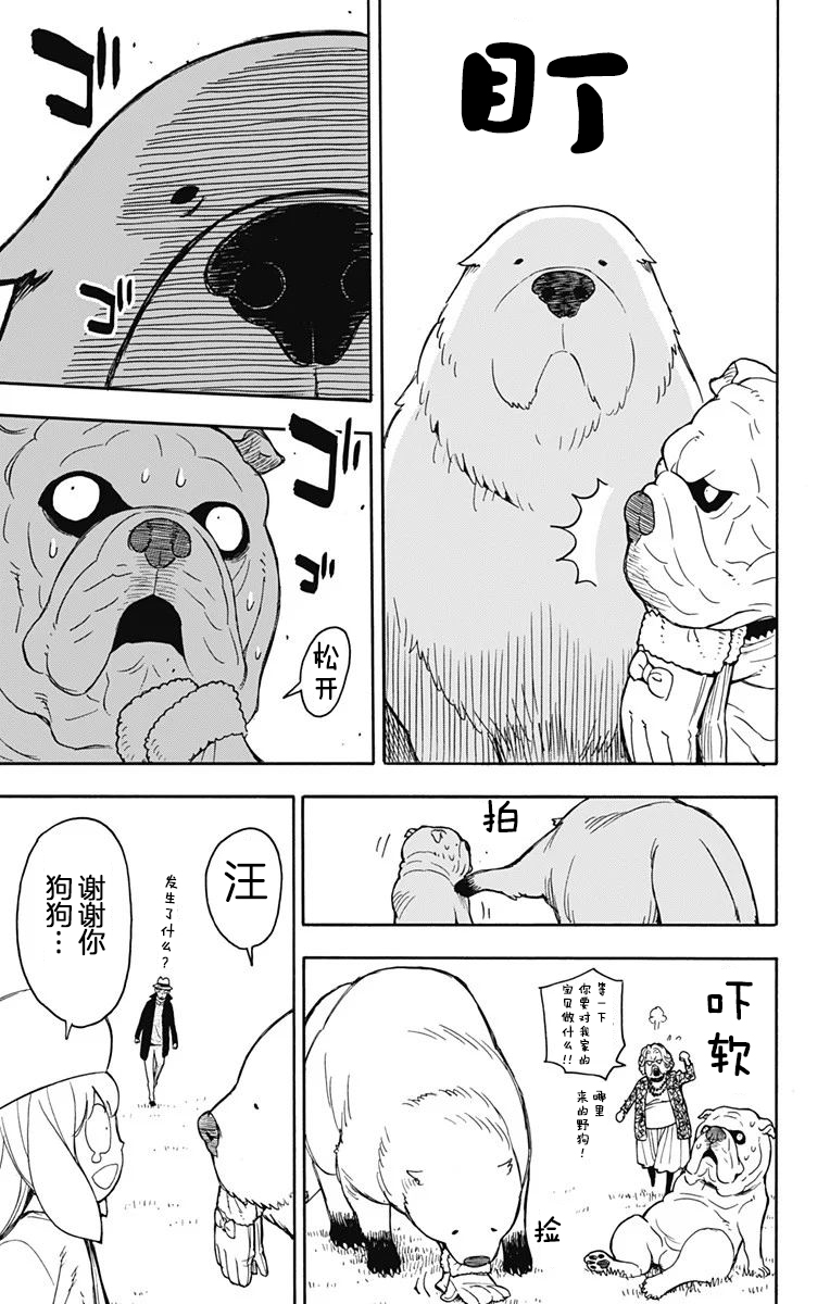 第 17 页