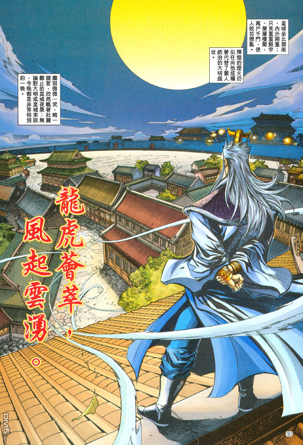 第 30 页