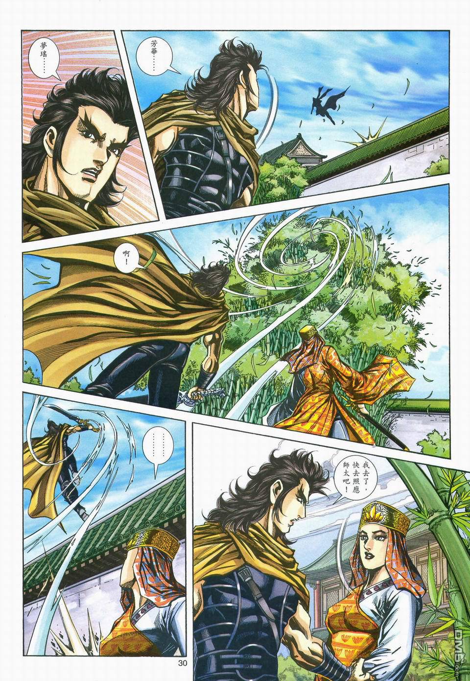 第 30 页