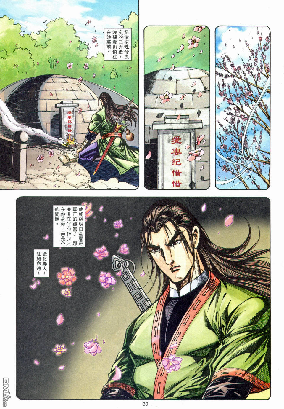 第 30 页