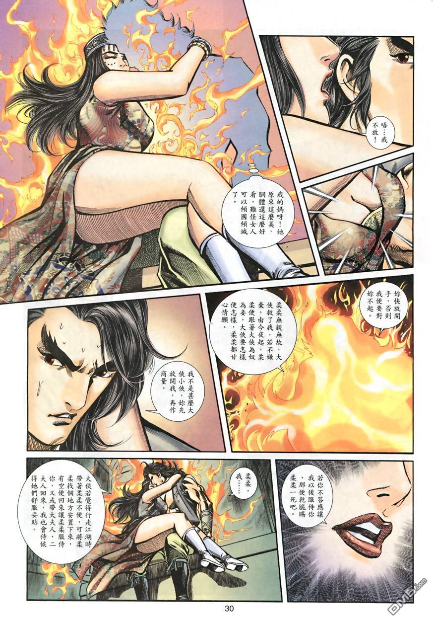 第 30 页