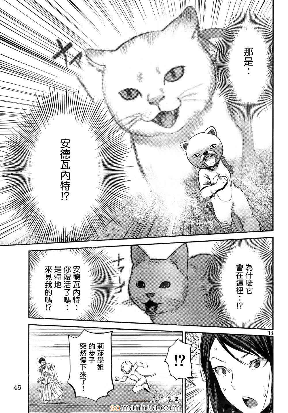 第 13 页