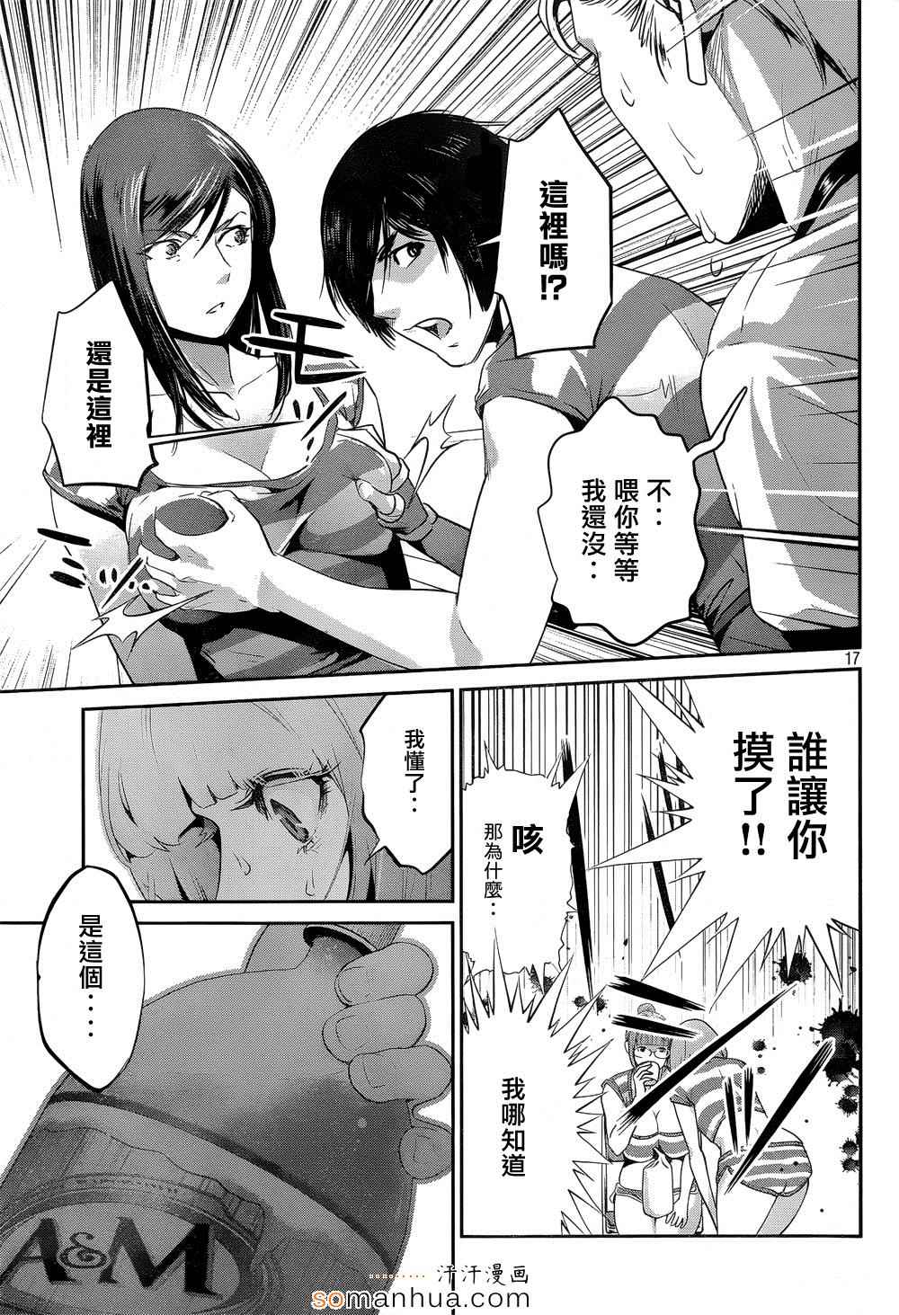 第 17 页