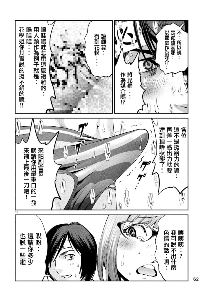 第 13 页