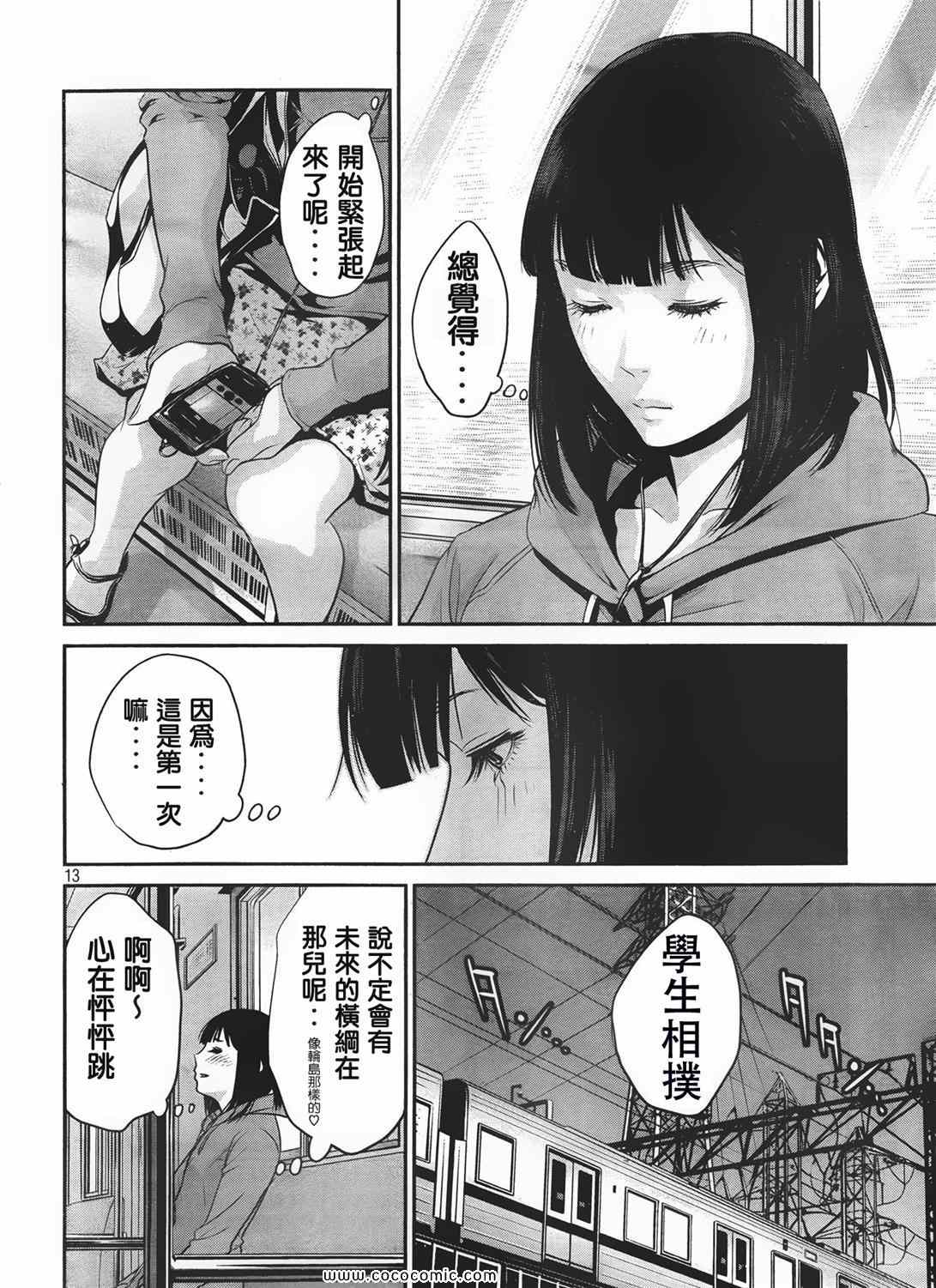 第 13 页