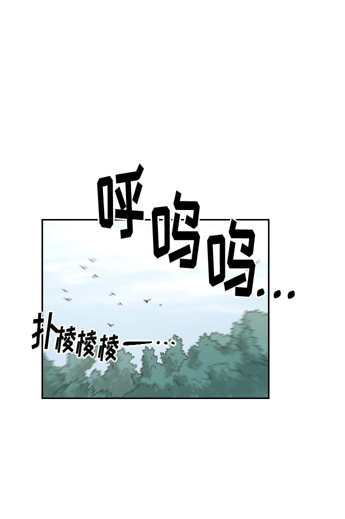 第 113 页