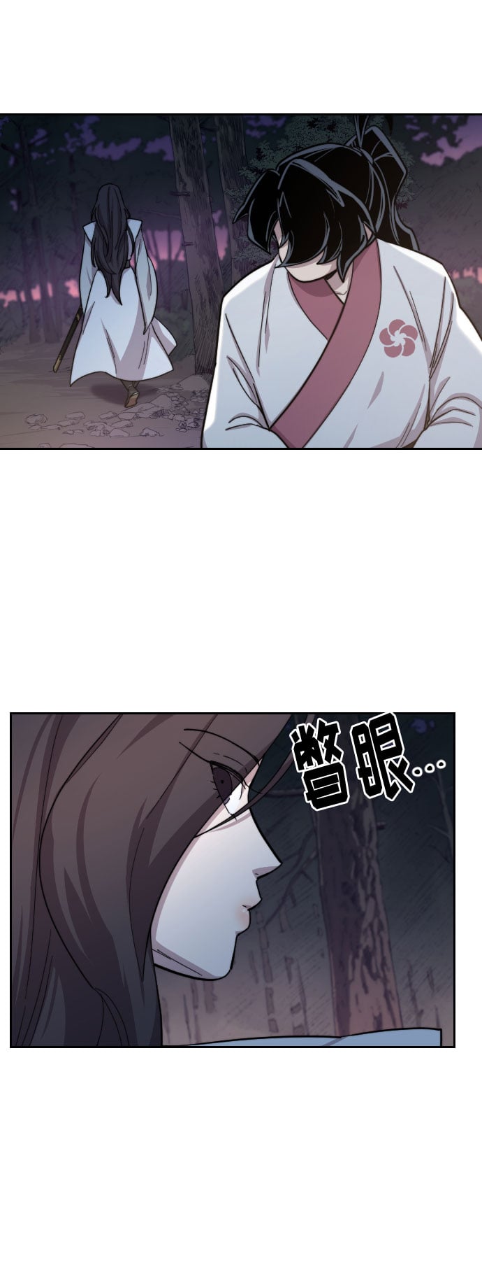 第 53 页