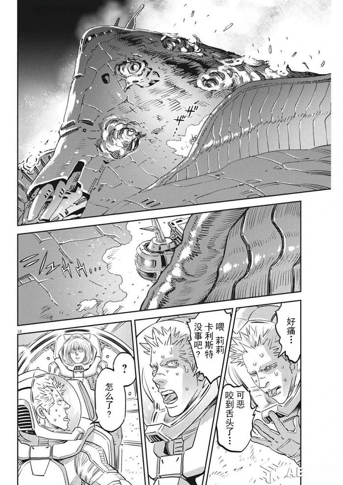 第 17 页
