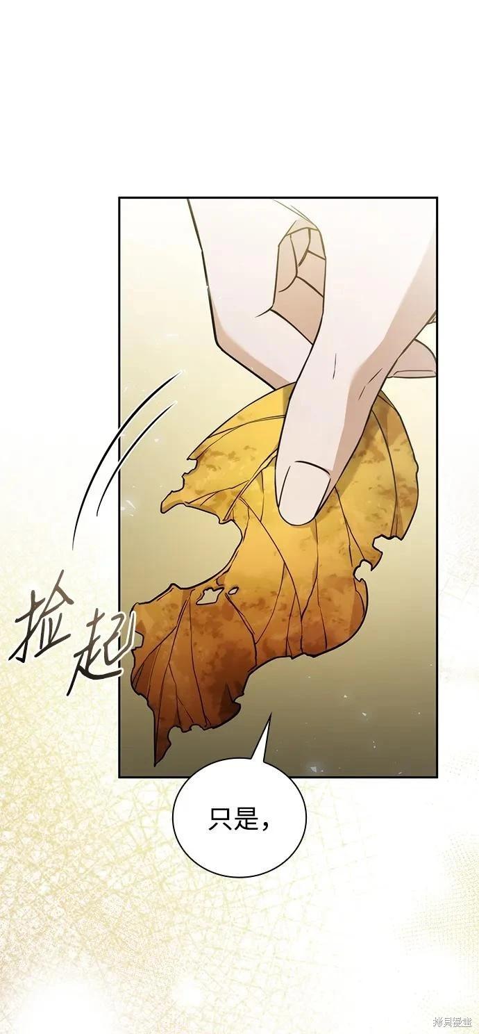 第 96 页