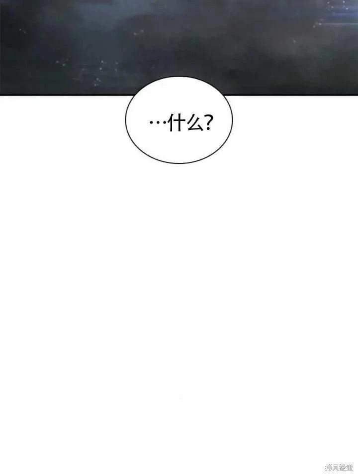 第 111 页