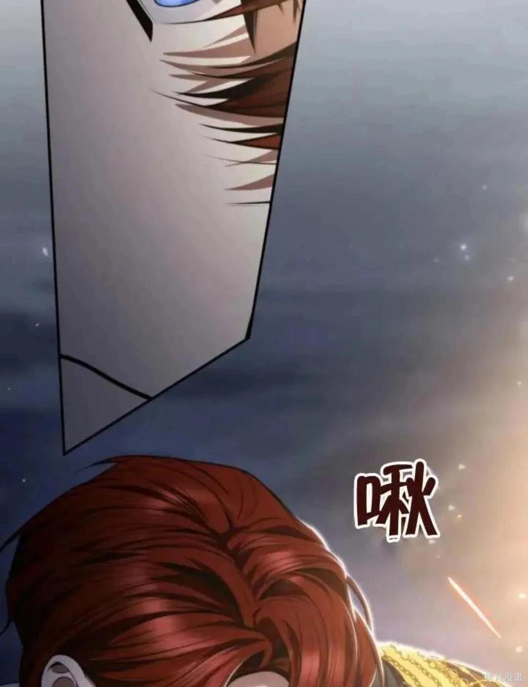 第 113 页